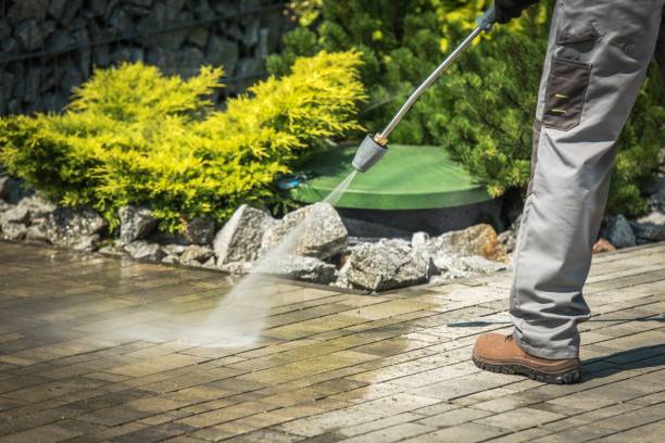 Best Fence Cleaning  in Valdez, AK
