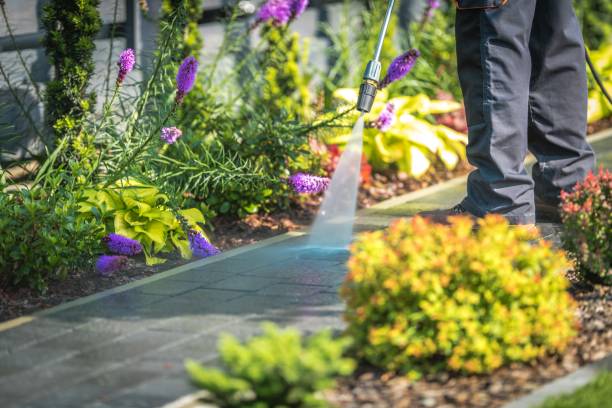 Best Animal Enclosure Cleaning  in Valdez, AK