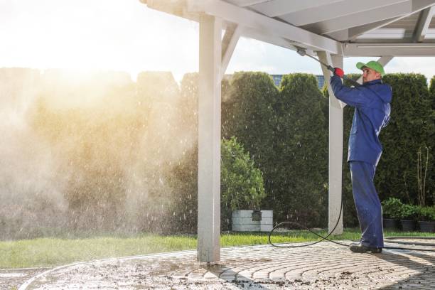 Best Roof Washing  in Valdez, AK